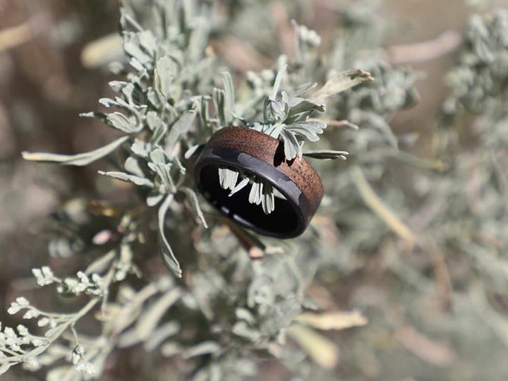 Craftsman 70/30  Carbon Fiber & Walnut Wood Ring by Element Ring Co.
