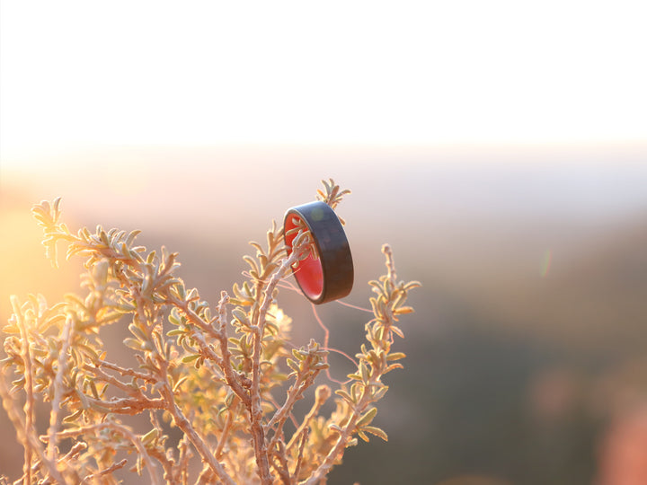 Red racer carbon fiber glow ring on plant
